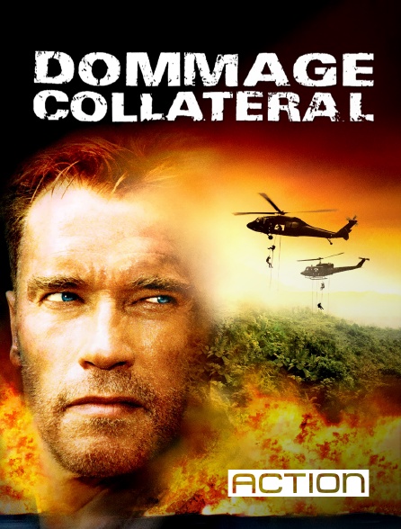 ACTION - Dommage collatéral